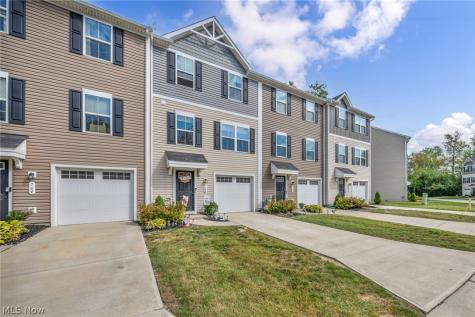 762 Pine Spring Drive Painesville OH 44077