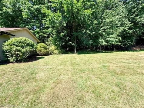 11106 Blodgett Creek Trail Strongsville OH 44149