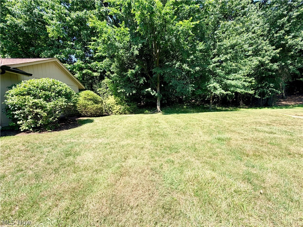 11106 Blodgett Creek Trail Strongsville OH 44149