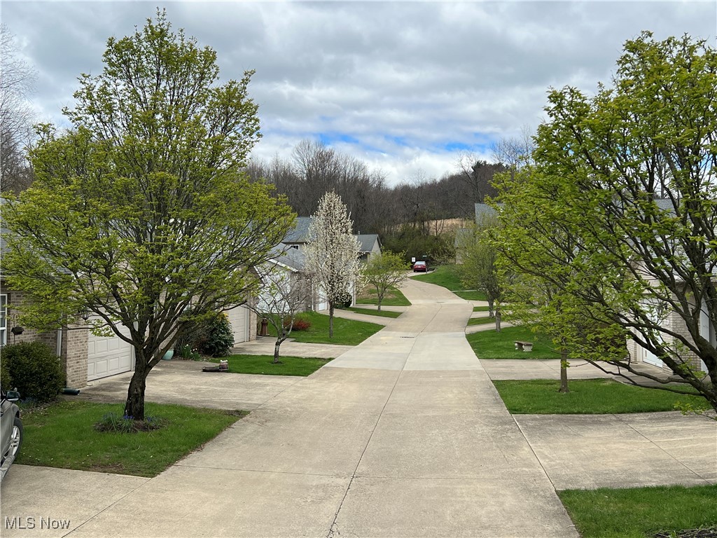 203 Knollton Drive Millersburg OH 44654