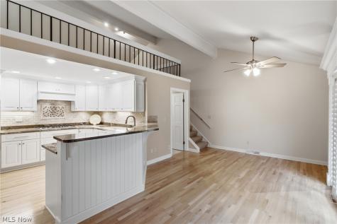 483 Concord Downs Lane Aurora OH 44202
