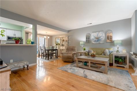7300 Chatham Court Northfield OH 44067