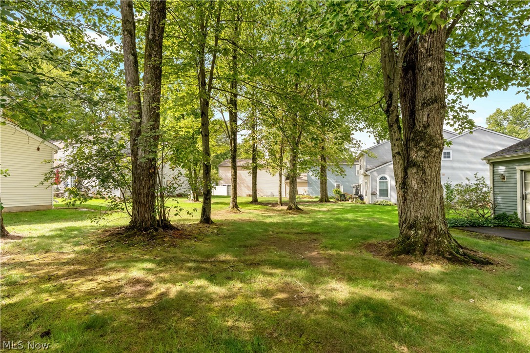 7300 Chatham Court Northfield OH 44067