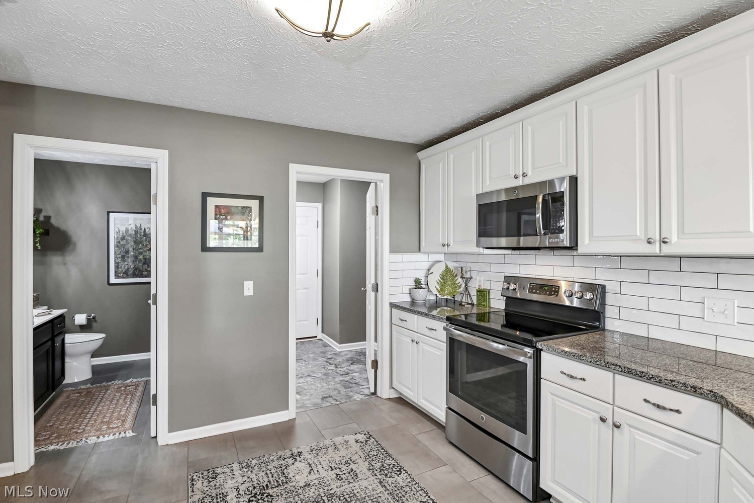 803 Wildberry Circle Avon Lake OH 44012