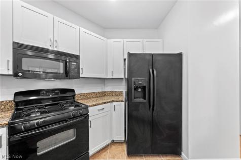 3217 Euclid Heights Boulevard Cleveland Heights OH 44118