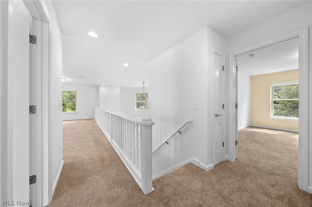 3217 Euclid Heights Boulevard Cleveland Heights OH 44118
