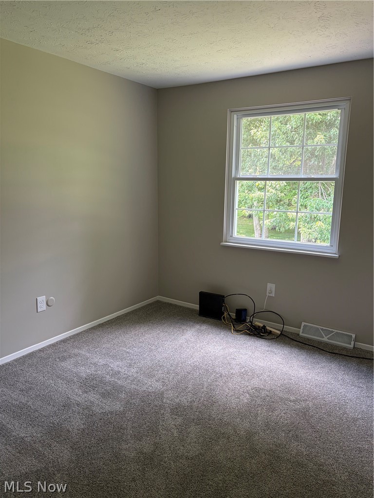 26150 Raintree Boulevard Olmsted Falls OH 44138