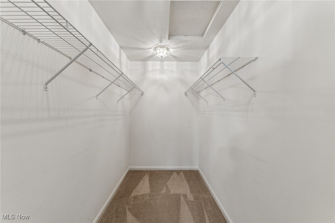 701 Gold Leaf Court Streetsboro OH 44241