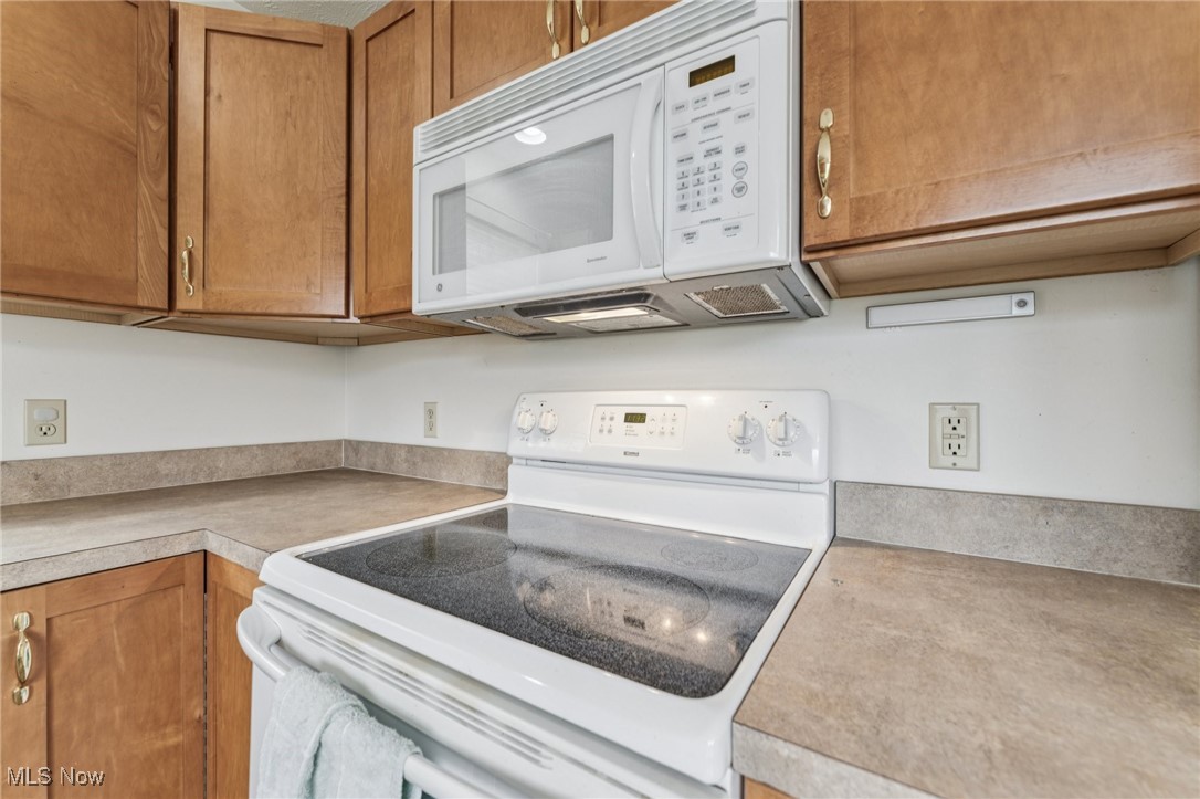 701 Gold Leaf Court Streetsboro OH 44241