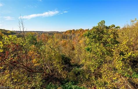 18875 Riversouth Terrace Fairview Park OH 44126