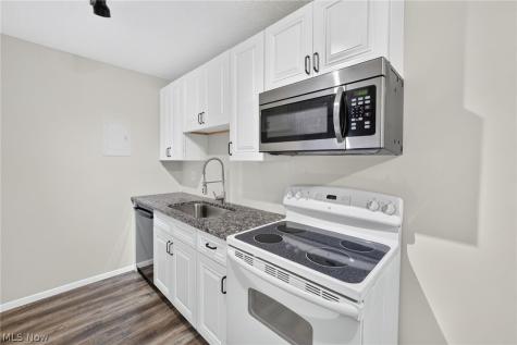 1460 Cedarwood Drive Westlake OH 44145