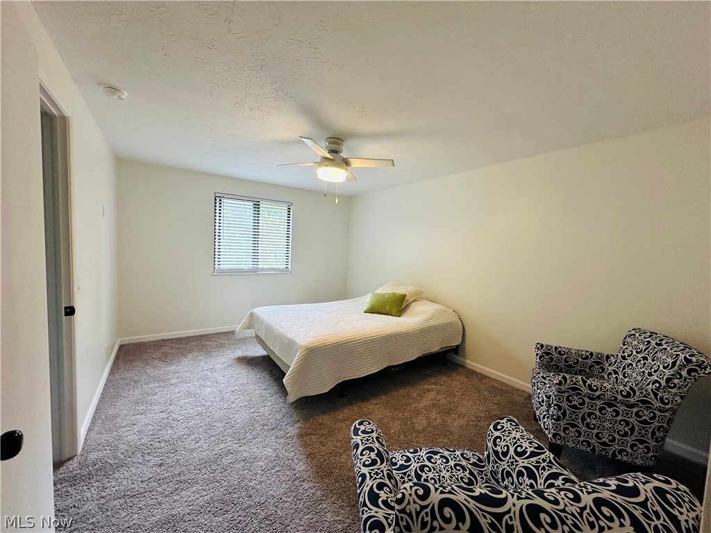 1651 Mentor Avenue Painesville OH 44077