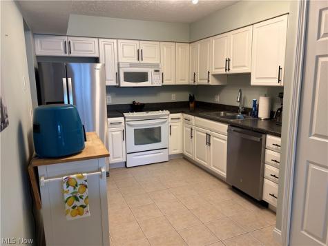 7047 Bristlewood Drive Painesville OH 44077