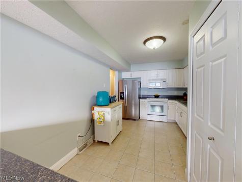 7047 Bristlewood Drive Painesville OH 44077