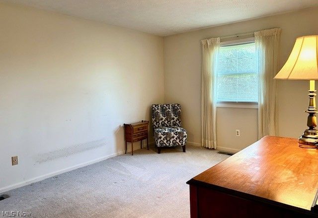 10556 Scottsdale Drive Strongsville OH 44136