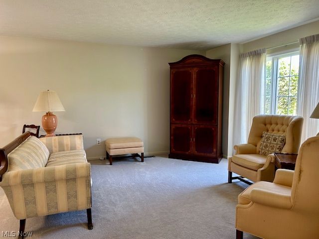 10556 Scottsdale Drive Strongsville OH 44136