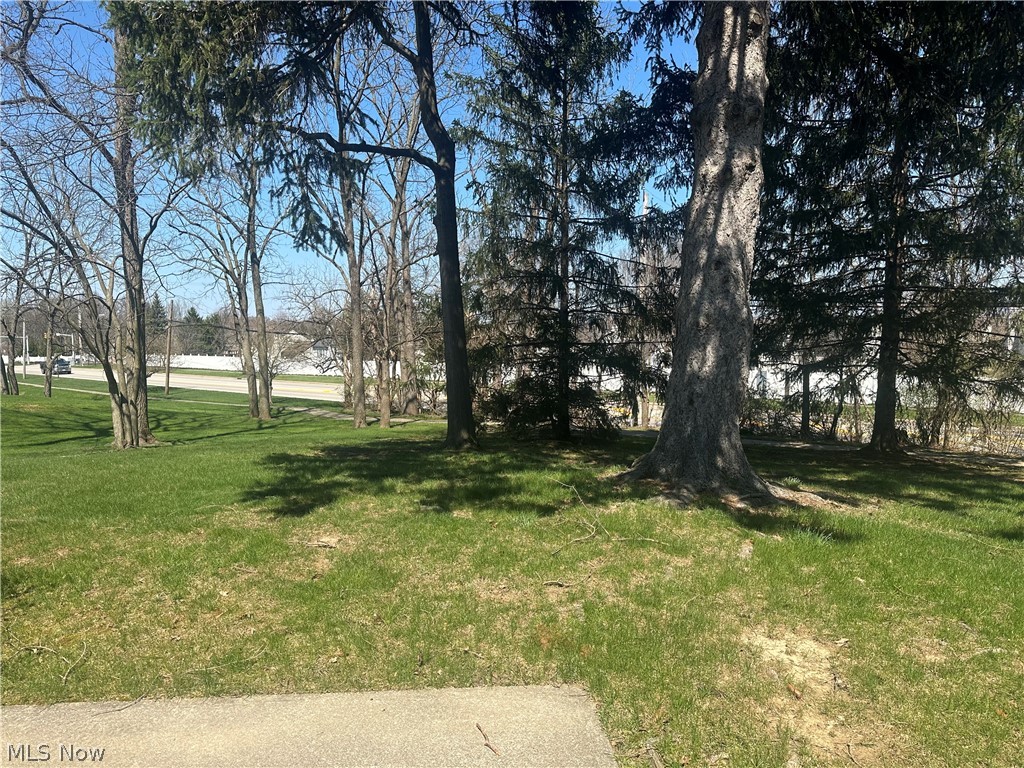 1429 Timberland Lane Twinsburg OH 44087