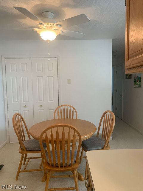 4050 Woodlands Drive Vermilion OH 44089