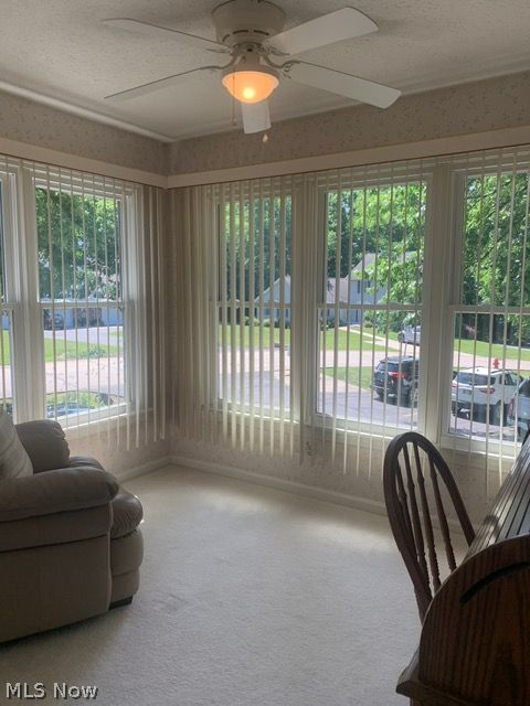 4050 Woodlands Drive Vermilion OH 44089