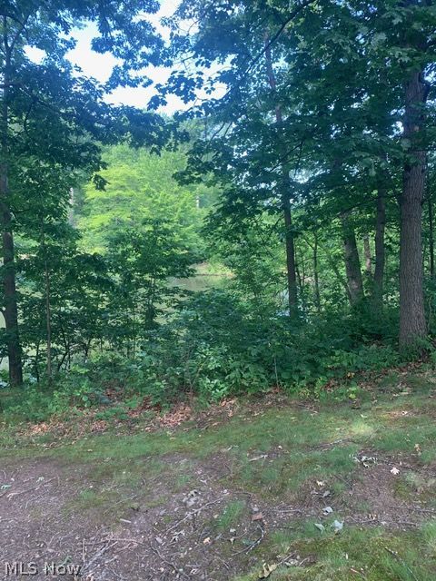 4050 Woodlands Drive Vermilion OH 44089