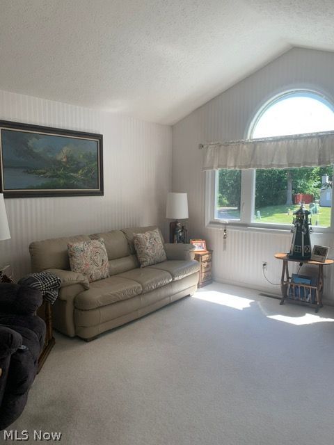 4050 Woodlands Drive Vermilion OH 44089