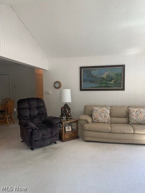 4050 Woodlands Drive Vermilion OH 44089