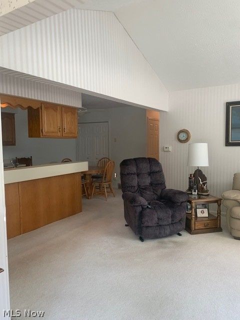 4050 Woodlands Drive Vermilion OH 44089