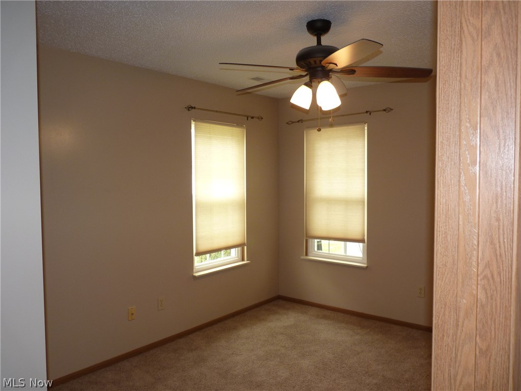 50 Stratford Green Drive Canfield OH 44406