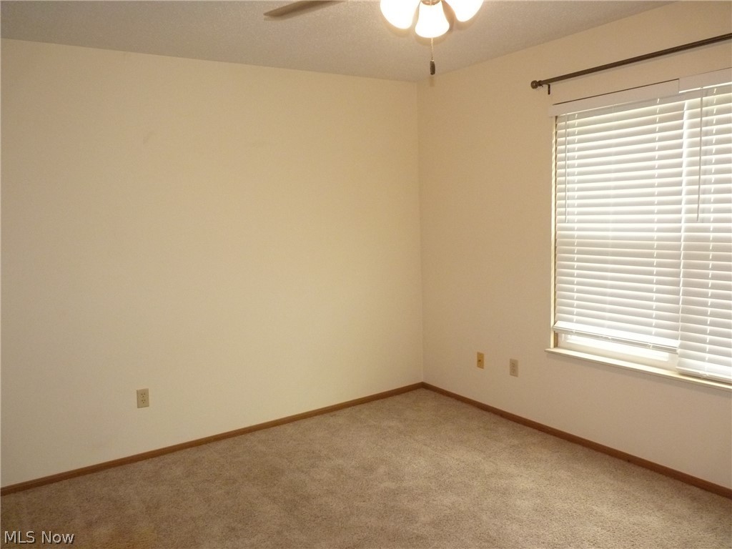 50 Stratford Green Drive Canfield OH 44406