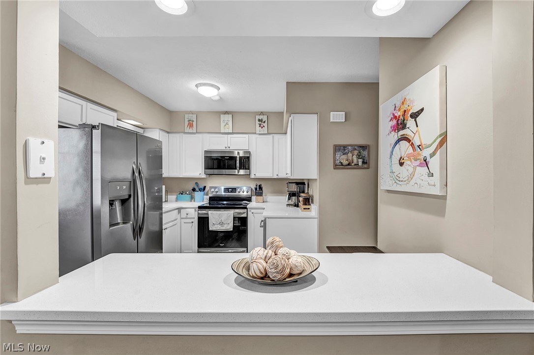7 Meadowlawn Drive Mentor OH 44060