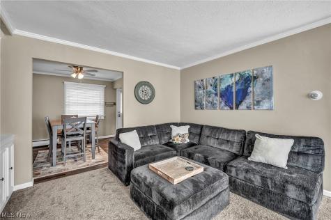 7 Meadowlawn Drive Mentor OH 44060