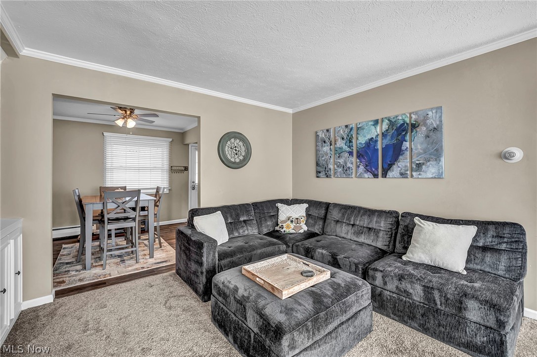 7 Meadowlawn Drive Mentor OH 44060
