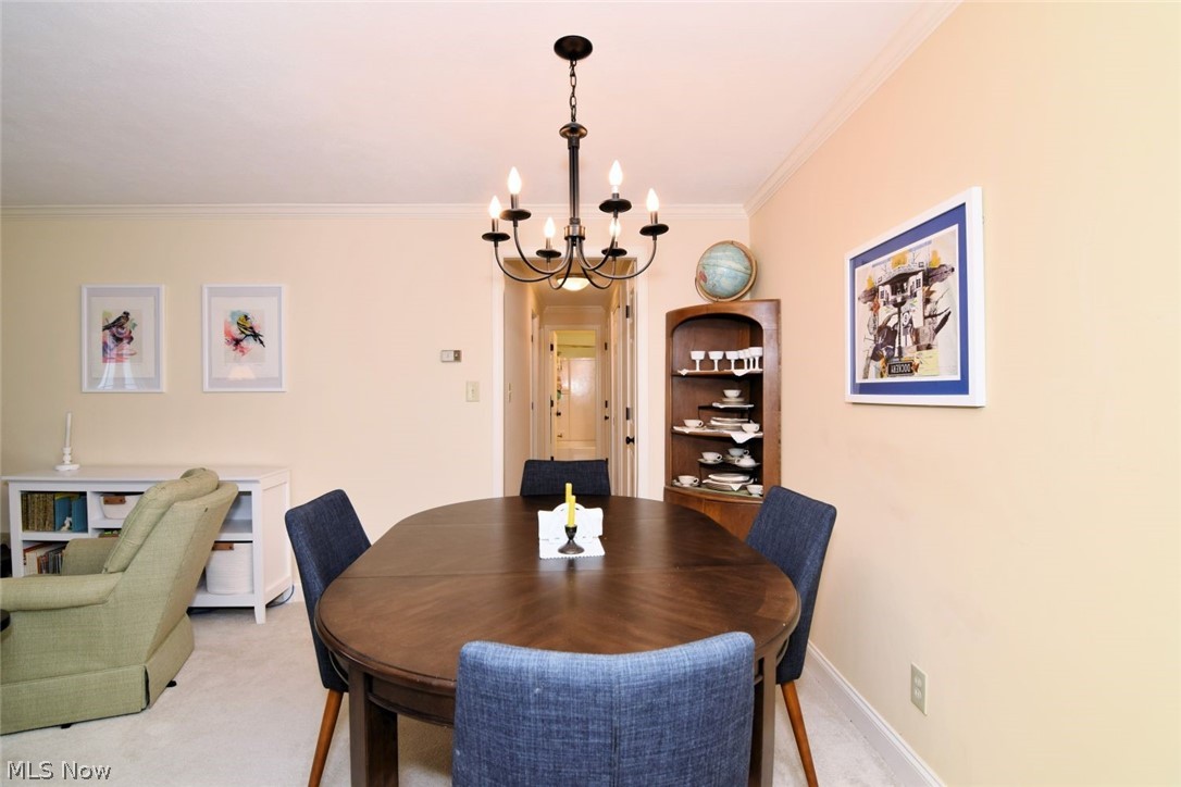 5009 Nob Hill Drive Chagrin Falls OH 44022