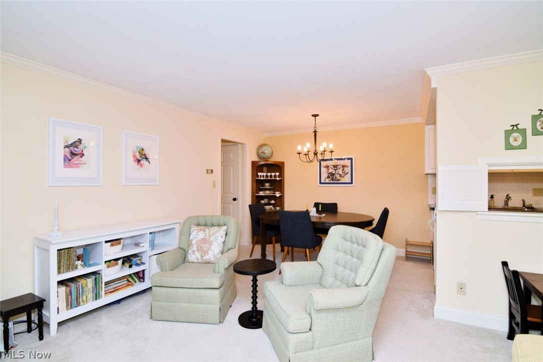 5009 Nob Hill Drive Chagrin Falls OH 44022