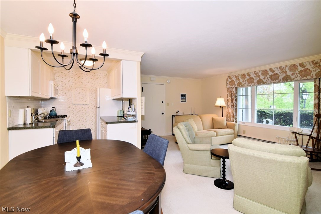 5009 Nob Hill Drive Chagrin Falls OH 44022