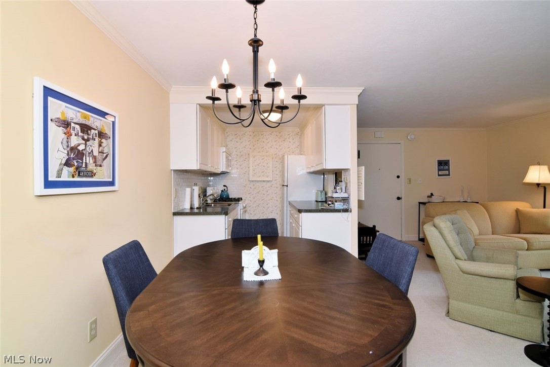 5009 Nob Hill Drive Chagrin Falls OH 44022