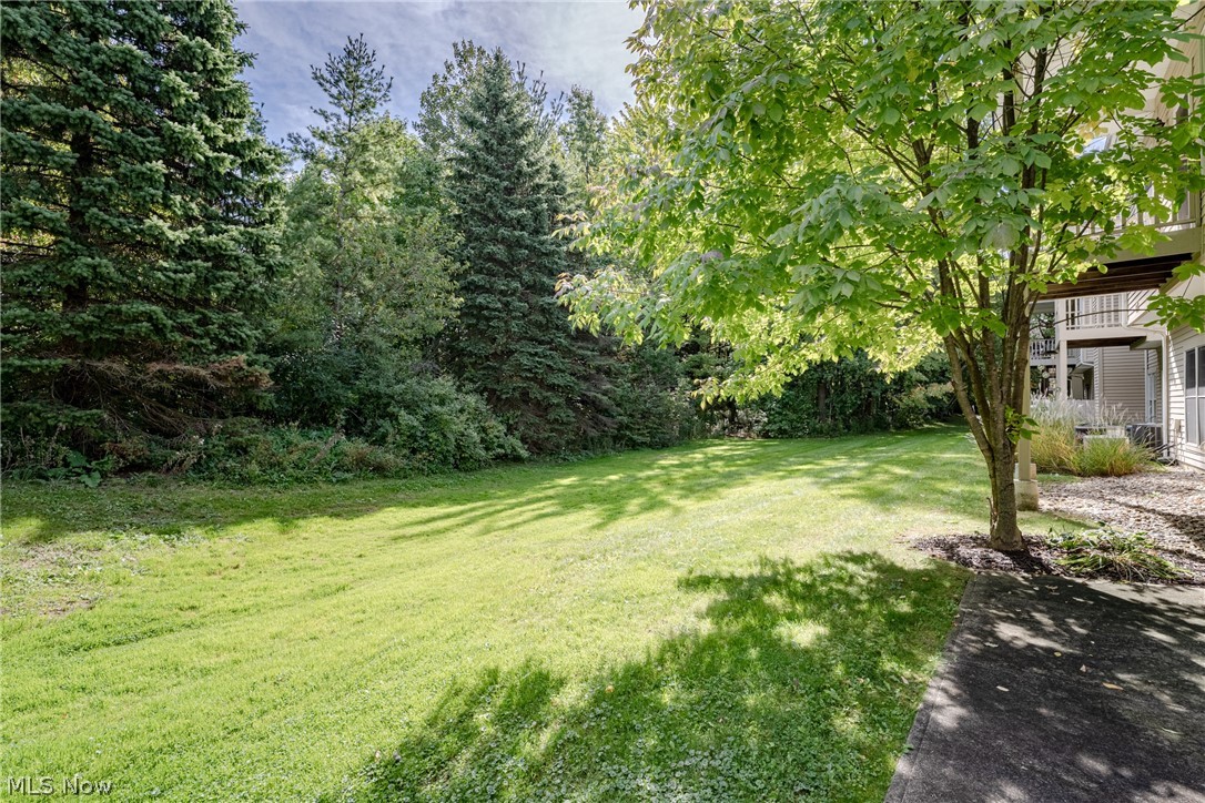 439 Eagle Trace Mayfield Heights OH 44124