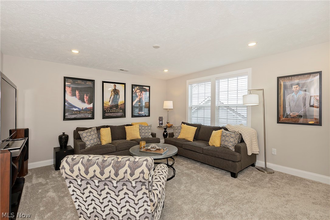 118 Lake Balaton Drive Orange OH 44128