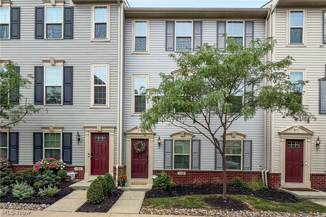 1388 Annette Court Lakewood OH 44107