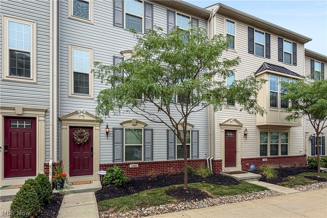1388 Annette Court Lakewood OH 44107