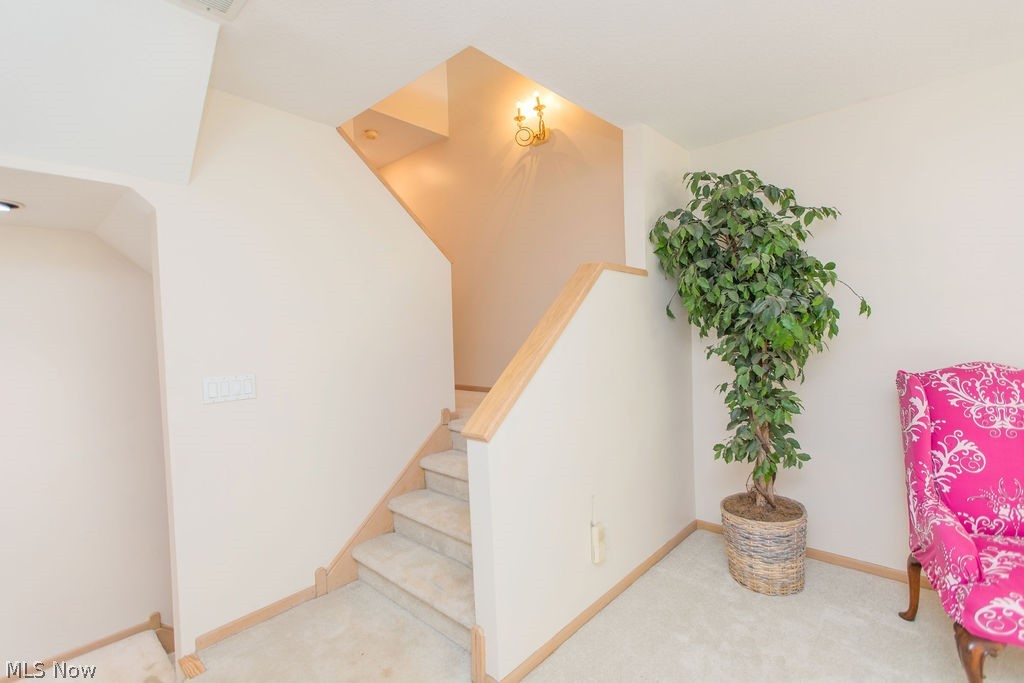 25058 Mill River Road Olmsted Falls OH 44138