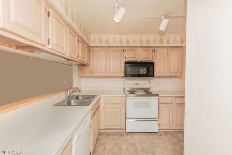 25058 Mill River Road Olmsted Falls OH 44138