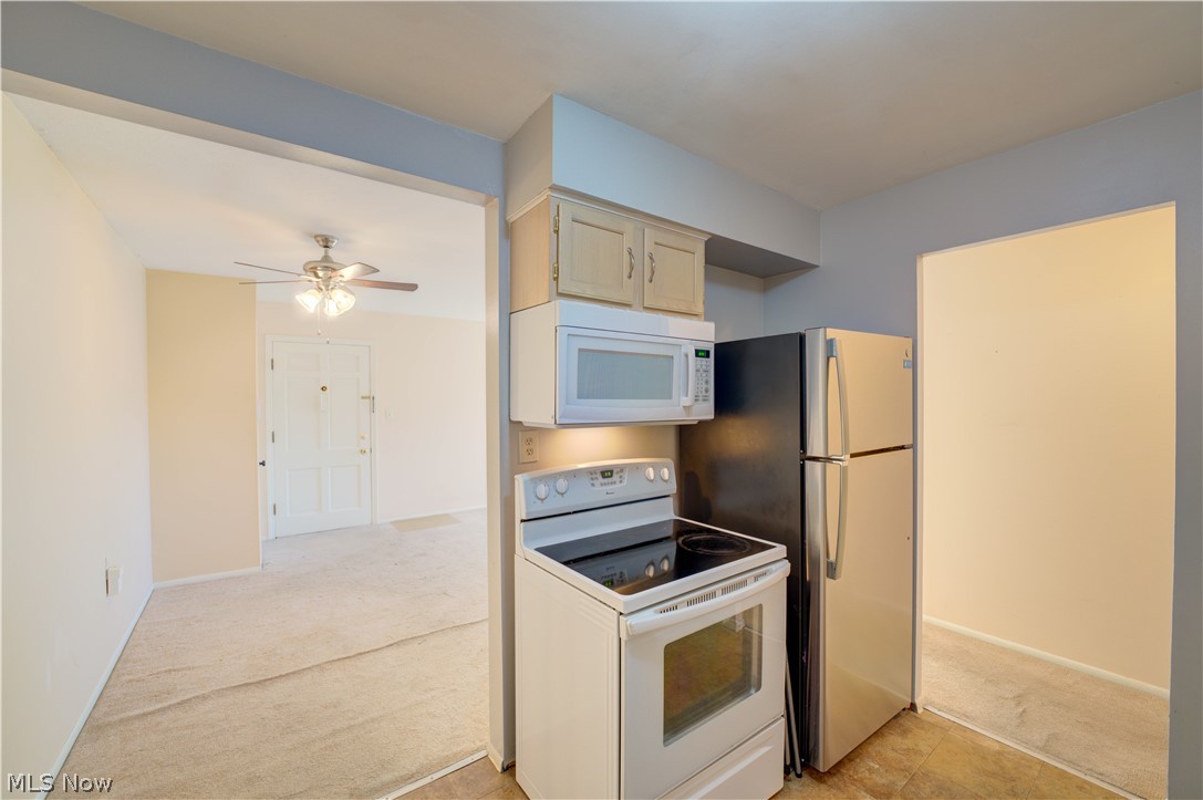 23492 David Drive North Olmsted OH 44070