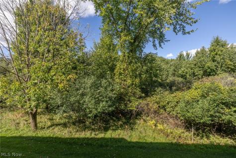 1143 Starboard Drive Medina OH 44256
