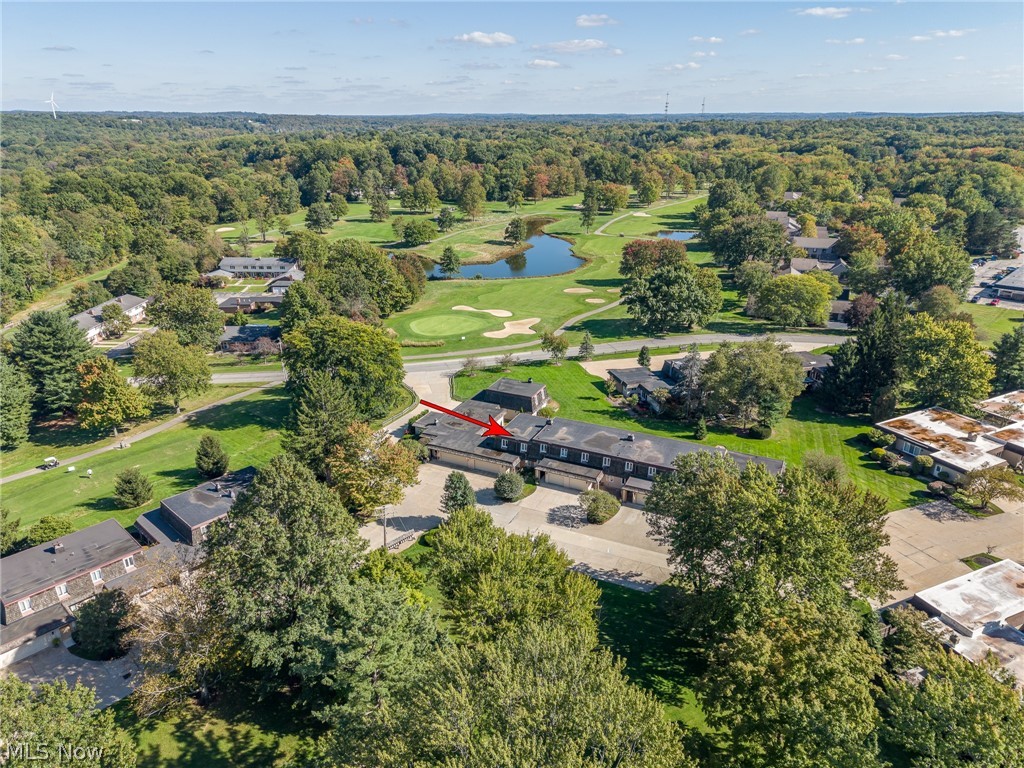 8532 Tanglewood Trail Chagrin Falls OH 44023