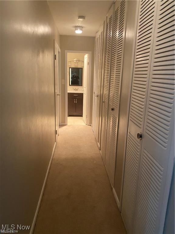 12520 Edgewater Drive Lakewood OH 44107