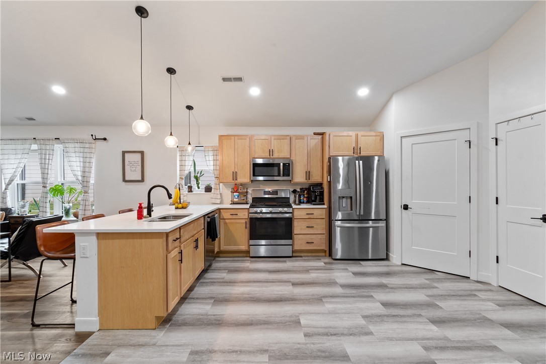 1013 Sycamore Lane Millersburg OH 44654