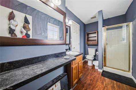 1846 Hobbits Way Brunswick OH 44212
