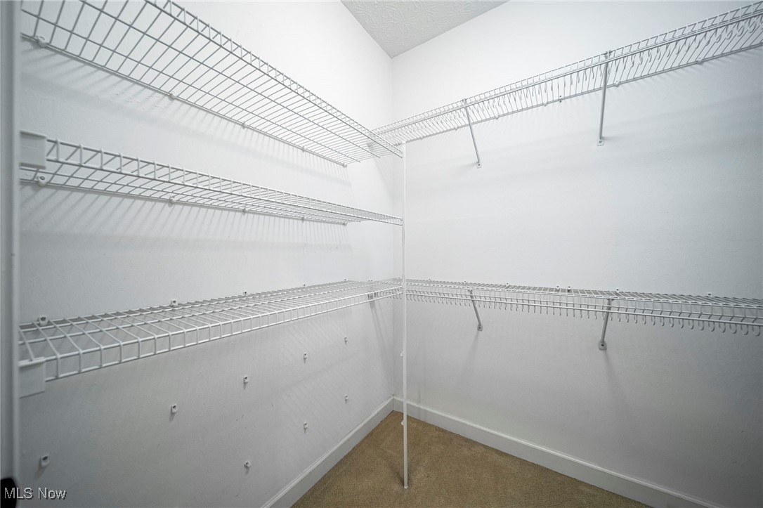 11195 Caddie Lane Concord OH 44077