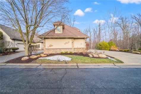 11195 Caddie Lane Concord OH 44077